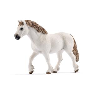 GIUMENTA WELSH PONY (5)