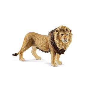 ANIMALI WILD LIFE SAVANA SELVAGGI LEONE
