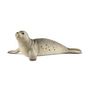 ANIMALI WILD LIFE FOCA