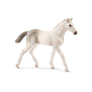 HORSE CLUB PULEDRO HOLSTEIN 
