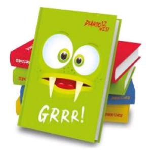 DIARI NOTA BENE GRRR