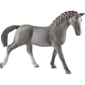 GIUMENTA TRAKEHNER