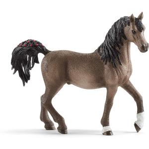 HORSE CLUB CAVALLO STALLONE ARABO 