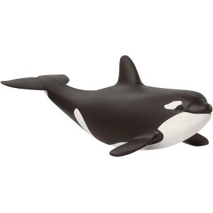 ANIMALI WILD LIFE CUCCIOLO DI ORCA