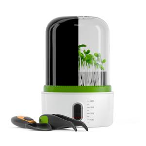 STAZIONE CRESCITA PIANTE